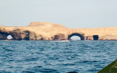 Guide to Las Ballestas Peru: History, Facts, Maps and Tours